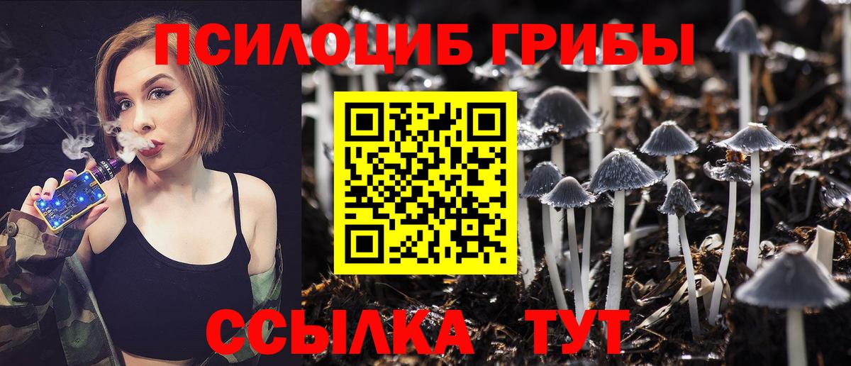 Коряжма  купить наркотик  Псилоцибиновые грибы GOLDEN TEACHER  Вход с VPN  Галлюциногенные грибы ЛСД 